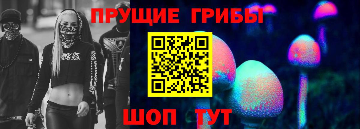 Галлюциногенные грибы мицелий Зима