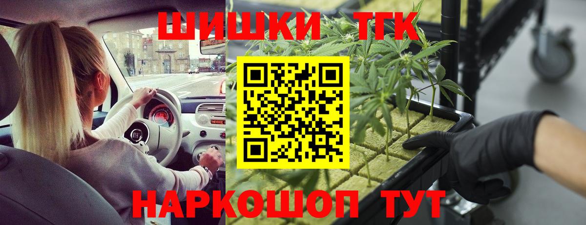 Каннабис индика Зима